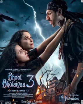 Bhool Bhulaiyaa 3 Collection